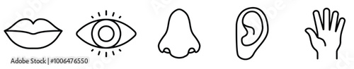 A set of line icons related to Five human senses. Vector editable stroke.