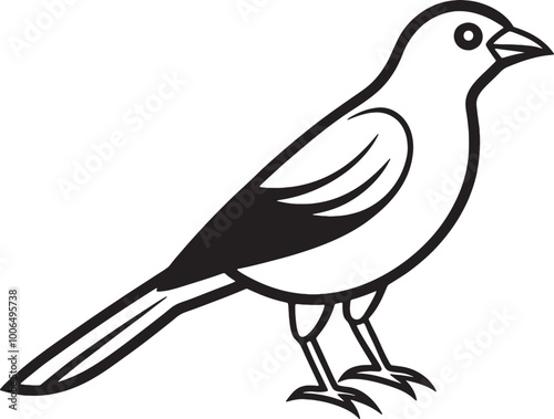 Vector image of a bird on a white background. Black and white illustration.