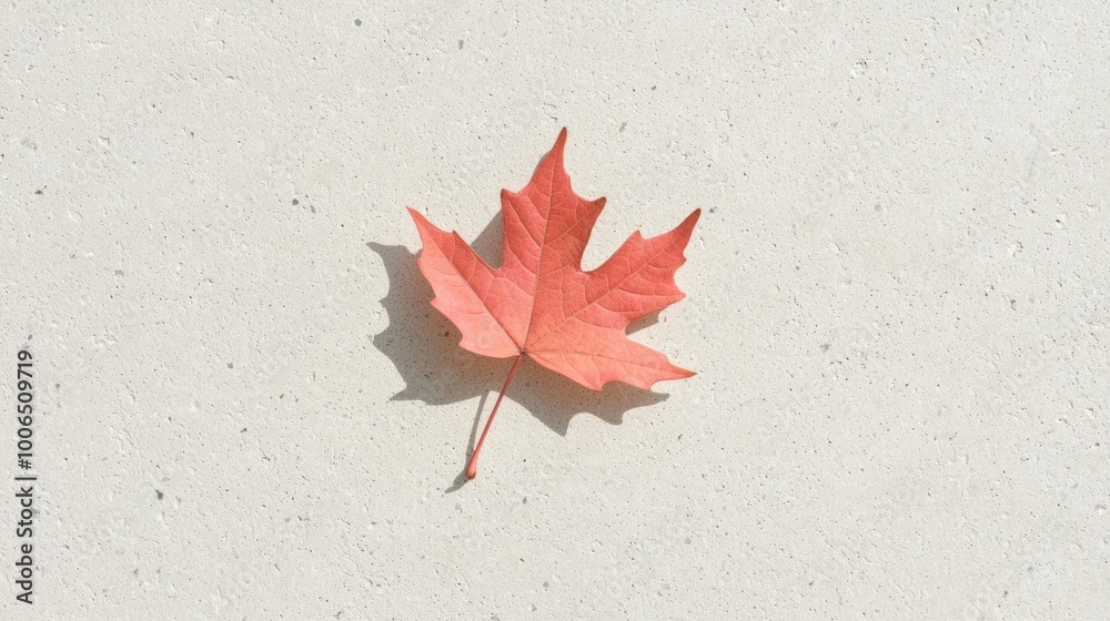 Tranquility in Contrast: Vibrant Red Maple Leaf Against Muted Earth Tones Tranquility in Contrast: Vibrant Red Maple Leaf Against Muted Earth Tones