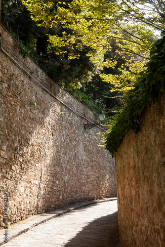 Italia, Toscana, città di Firenze. Costa san Giorgio. photo