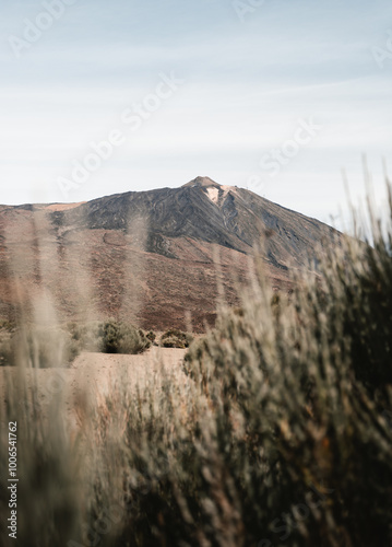 Vertical image of Pico del Teide mount with blurred bush in desert - Tenerife, Canary Islands .