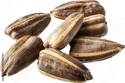 Wallpaper Mural Close-up of sunflower seeds Torontodigital.ca