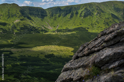 rocky slopes, alpine vegetation of the Black Mountain Range, Carpathians, Ukr...