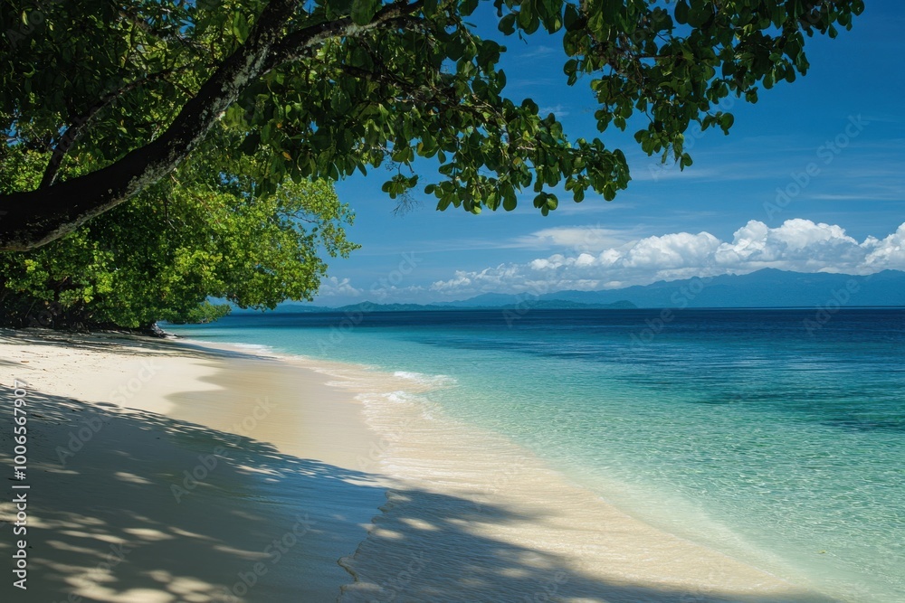 Coastal tranquility: appreciating the peacefulness of nature's marine splendor Coastal tranquility: appreciating the peacefulness of nature's marine splendor