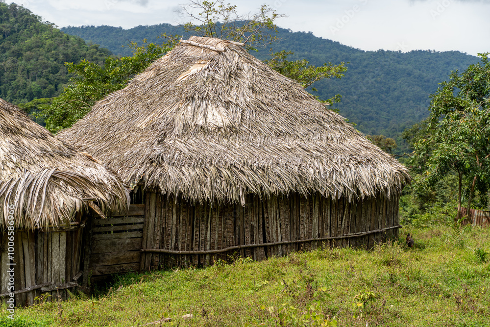 View of the traditional Bribir indigenous hut, made of mud and wood in Talamanca, Limon Costa Rica View of the traditional Bribir indigenous hut, made of mud and wood in Talamanca, Limon Costa Rica