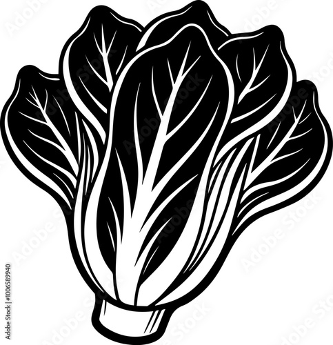 bok choy vegetable silhouette vector illustration