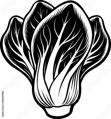 bok choy vegetable silhouette vector illustration