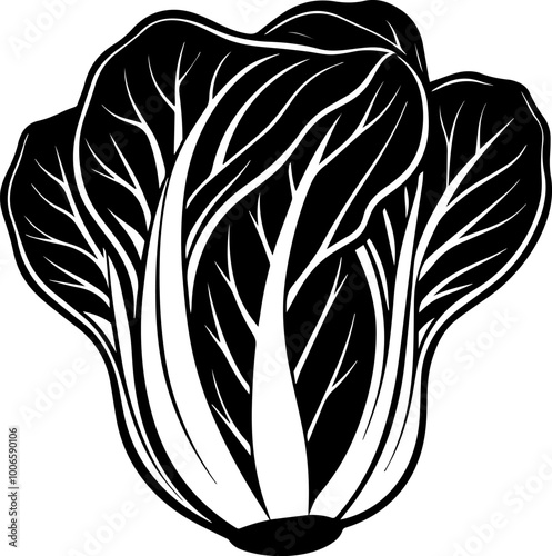 bok choy vegetable silhouette vector illustration