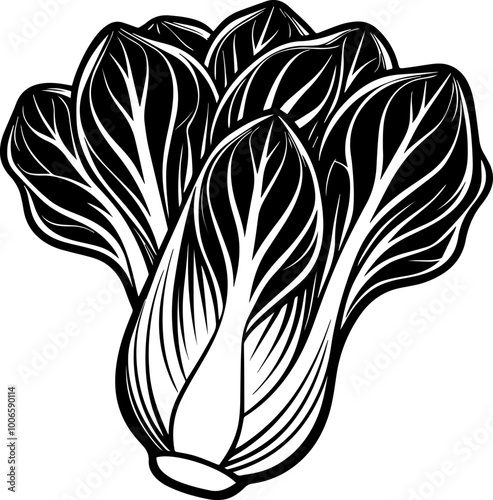 bok choy vegetable silhouette vector illustration