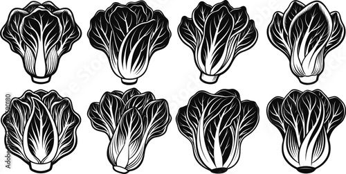 set of bok choy vegetable silhouette vector illustration