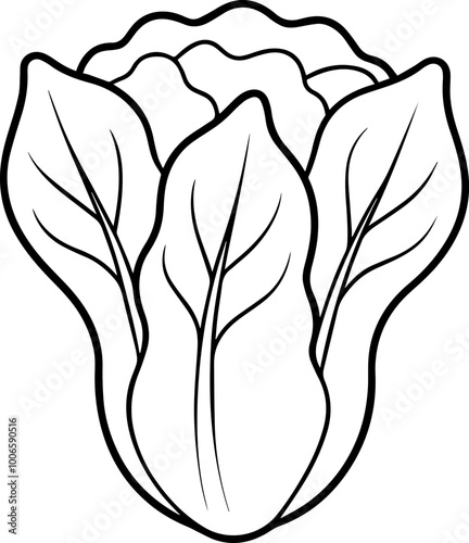 bok choy vegetable outline coloring book page line art vector illustration