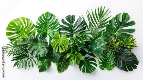 Lush Green Tropical Leaves Arrangement