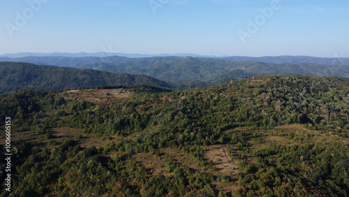 Aerial view on the top of the hill and forest.