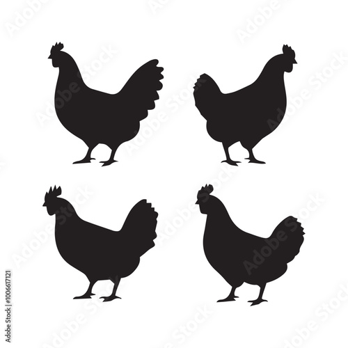 Set of silhouette four chickens, Vector, Silhouette