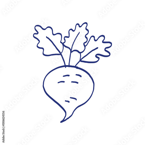 Beet. Vegetable sketch. Hand drawn blue pen or marker drawing. Primitive kids picture