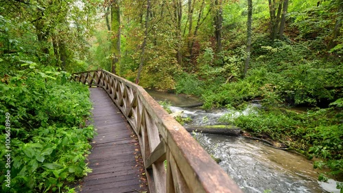 A magical forest moments after the rain. Autumn colors of trees. A footbridge along the river. A dense, wild, beautiful forest. Czartowe Pole Nature Reserve, Roztocze, Poland