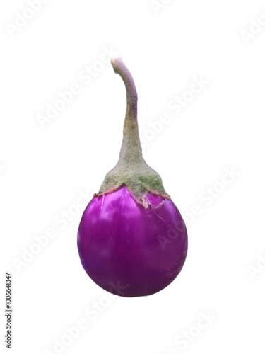 Thailand small purple eggplant isolated on white background