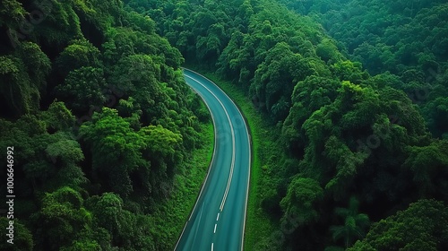 Highway, road and drone view of a path through the forest for vacation, adventure and transportation. Clean, green and jungle landscape for environment, sustainability and ecology background