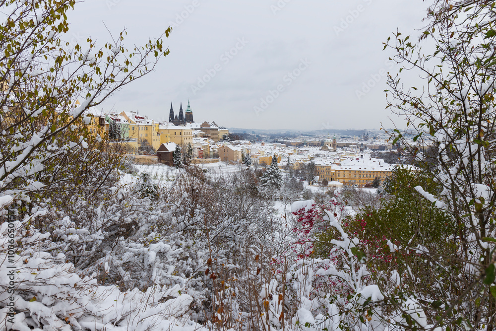 Snowy Prague City with gothic Castle from the Hill Petrin, Czech republic