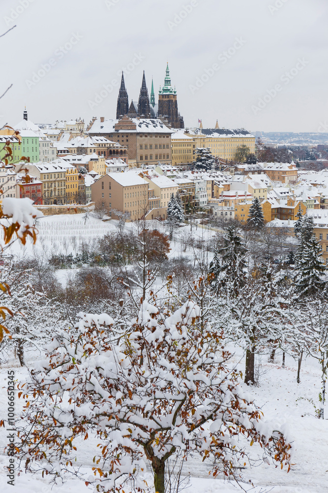 Snowy Prague City with gothic Castle from the Hill Petrin, Czech republic