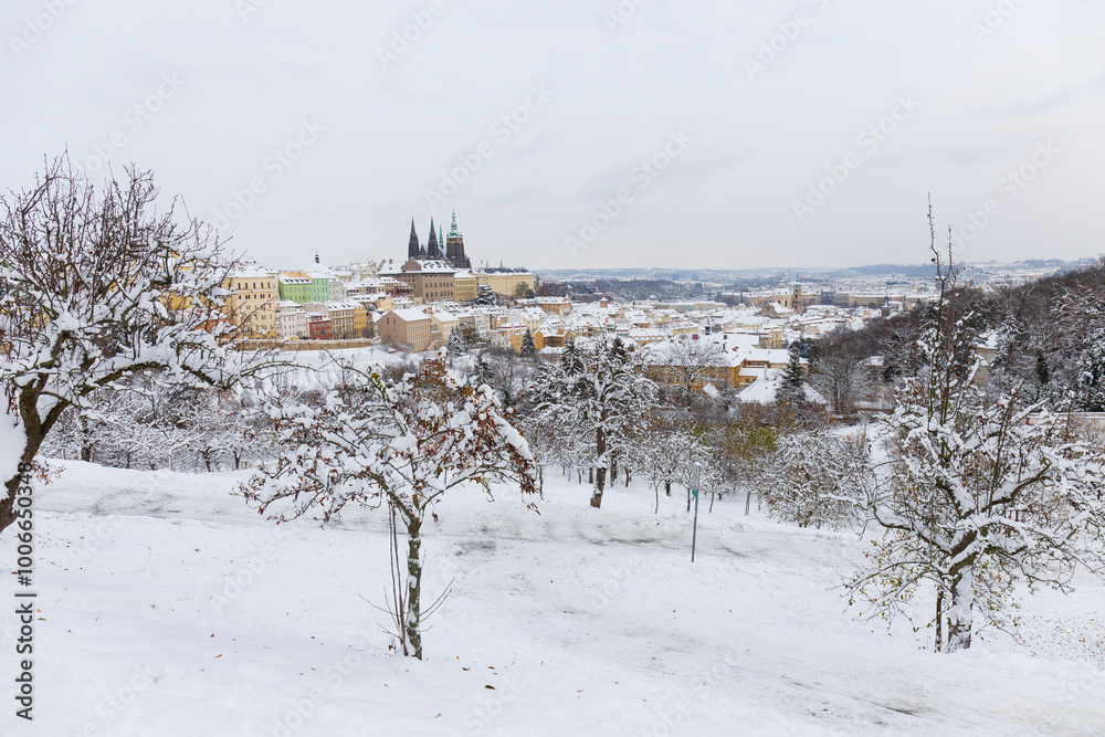 Snowy Prague City with gothic Castle from the Hill Petrin, Czech republic