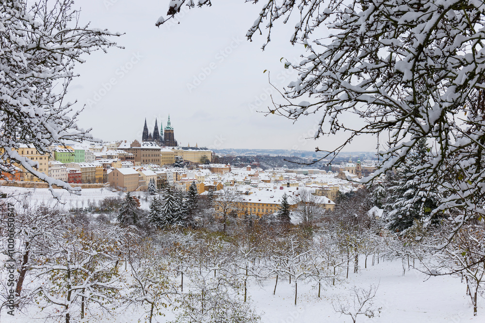 Snowy Prague City with gothic Castle from the Hill Petrin, Czech republic
