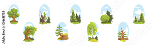 Summer Tree Nature Landscape with Green Forest Vector Set