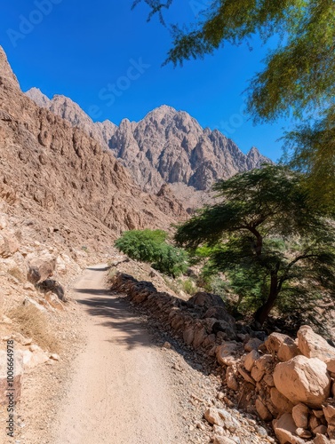 Endless desert highway stretching into the faroff horizon photo