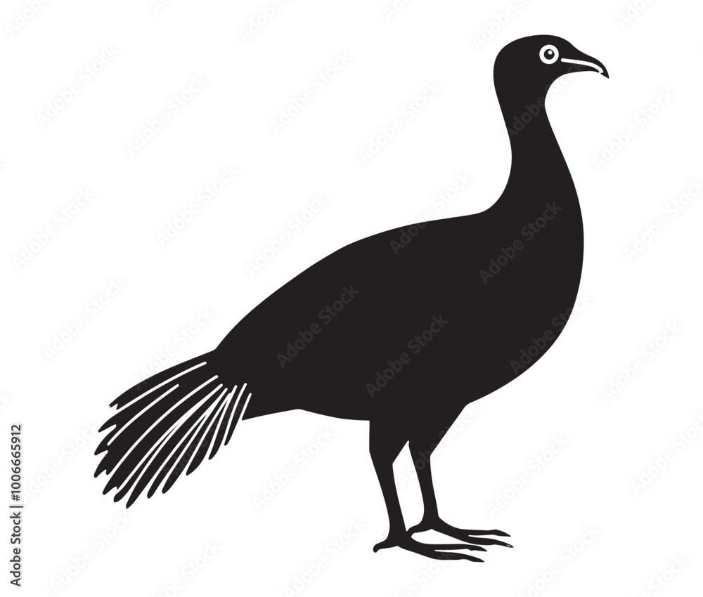 Fototapeta premium Illustration of a bird, Vector birds, Silhouette of a bird