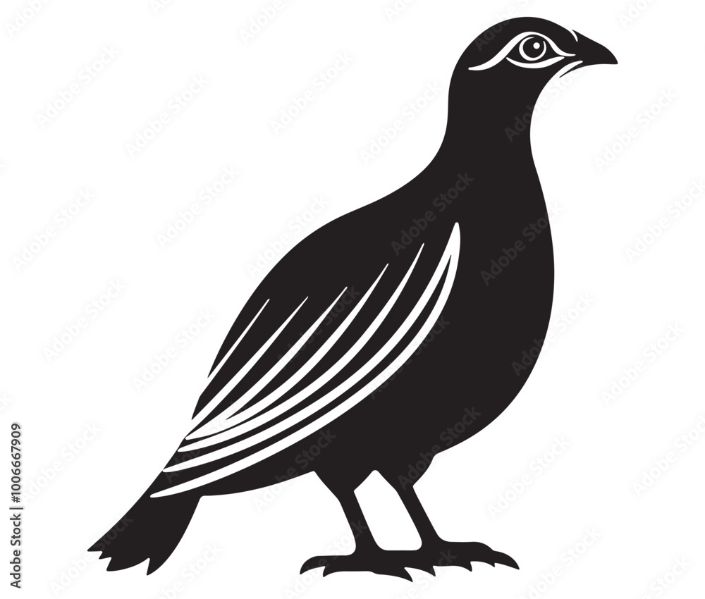 Illustration of a bird, Vector birds, Silhouette of a bird Illustration of a bird, Vector birds, Silhouette of a bird