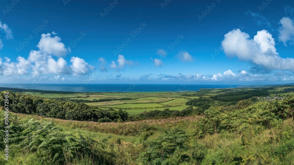 Panoramic View of the Coastline Panoramic View of the Coastline