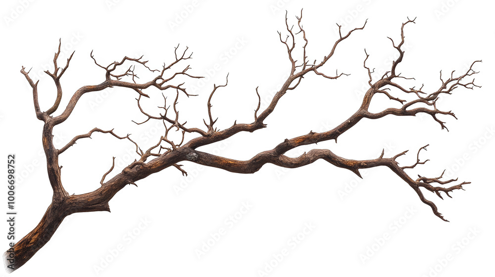 Abstract Branch with Glitch Effect   Digital Art  Background  Design
