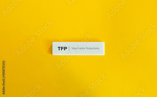 TFP (Total Factor Productivity) Level in Economics. photo