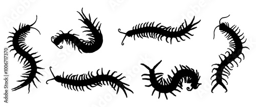 Halloween day
Silhouette of a centipede 