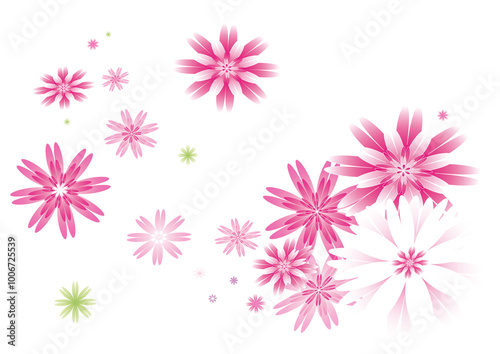 Fleurs roses et blanches sur fond transparent