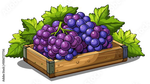 grapes in a box - Vector illustration of  grapes isolated on white, grapes vector art