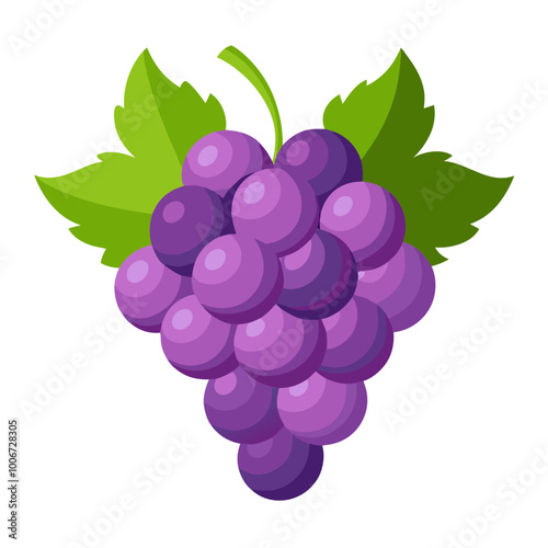 bunch of grapes - Vector illustration of  grapes isolated on white, grapes vector art