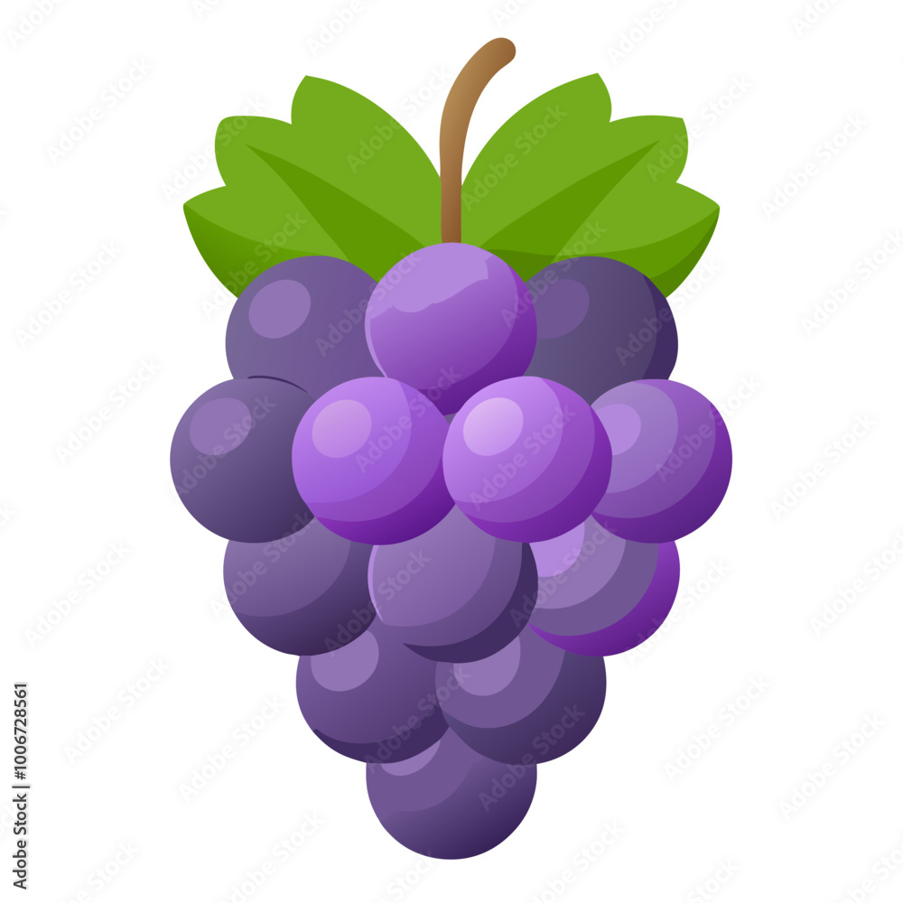 bunch of grapes - Vector illustration of grapes isolated on white, grapes vector art bunch of grapes - Vector illustration of grapes isolated on white, grapes vector art