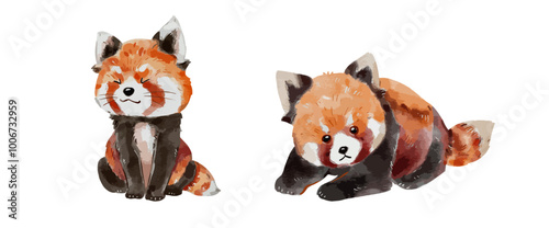 Cute baby red panda watercolor isolated on white background. Nursery red bear cartoon hand drawn character vector illustration