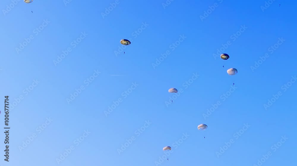 Military paratroopers are seen floating gently under parachutes against a vibrant blue sky. The shot captures the calm descent of soldiers during a coordinated air drop at Ginkelse Heide, Netherlands Military paratroopers are seen floating gently under parachutes against a vibrant blue sky. The shot captures the calm descent of soldiers during a coordinated air drop at Ginkelse Heide, Netherlands