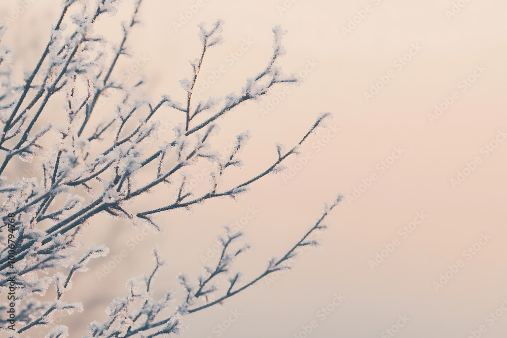 A minimalistic winter background featuring soft hues, snow-covered landscapes, and subtle details that capture the essence of winter's calm A minimalistic winter background featuring soft hues, snow-covered landscapes, and subtle details that capture the essence of winter's calm