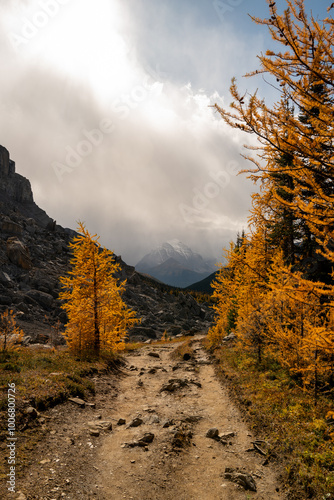 Mount Temple viewed on a fall day from Deception Pass near Hidden Lake Halfway Hut, Alberta, Canada. 