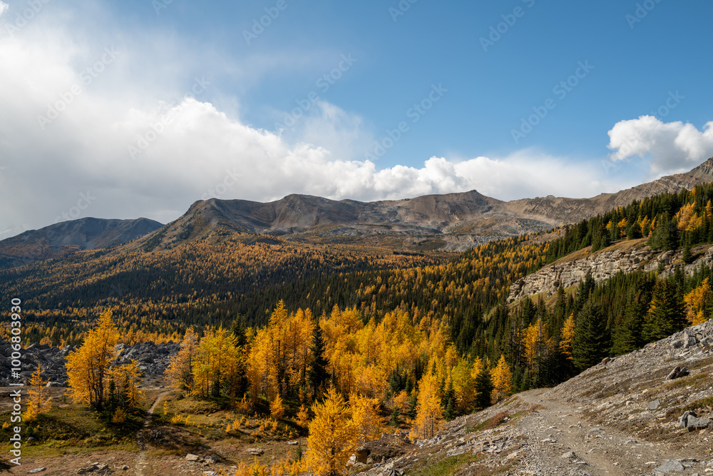 Photos of golden larches on Skoki Loop hike around Skoki Lodge. Includes views of the trail, mountains and lakes around the trail. Skoki Lodge is near Lake Louise, Alberta, Canada. Photos of golden larches on Skoki Loop hike around Skoki Lodge. Includes views of the trail, mountains and lakes around the trail. Skoki Lodge is near Lake Louise, Alberta, Canada.