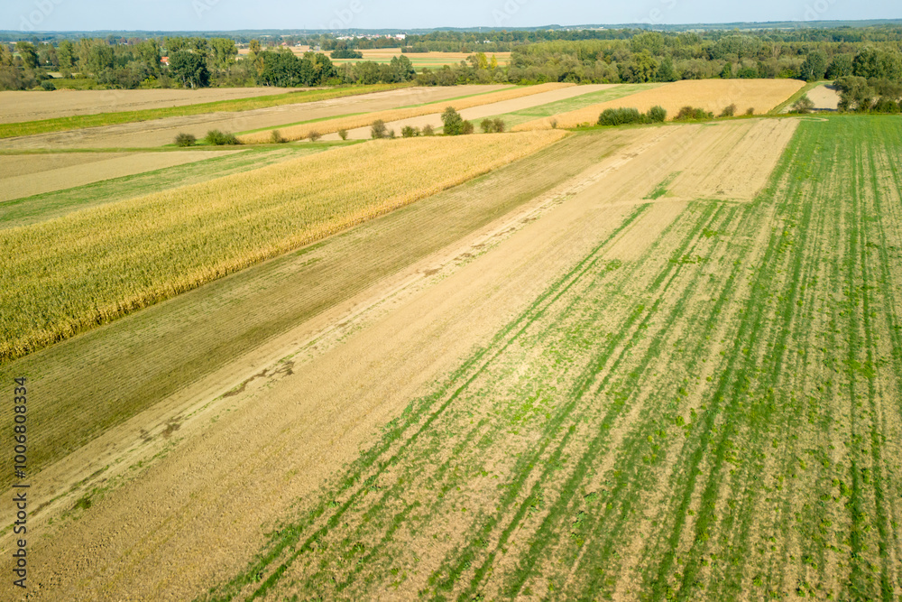 Aerial view of diverse agricultural fields showcasing various crops and textures under a clear blue sky, illustrating rural farming landscapes