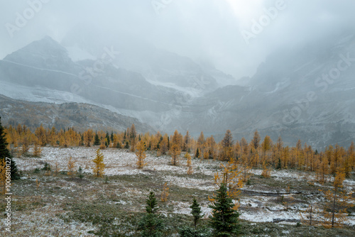 Skoki route looking at the Wall of Jericho mountain on a chill Autumn day.