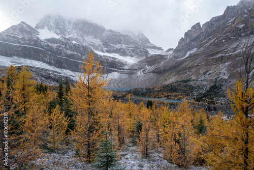 Skoki route looking at the Wall of Jericho mountain, Myosotis Lake and Zigadenus Lake on a chill Autumn day.