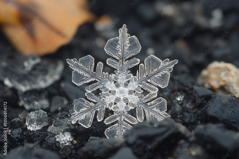 A delicate and intricate snowflake with sharp, crystalline arms branching out symmetrically from the center A delicate and intricate snowflake with sharp, crystalline arms branching out symmetrically from the center