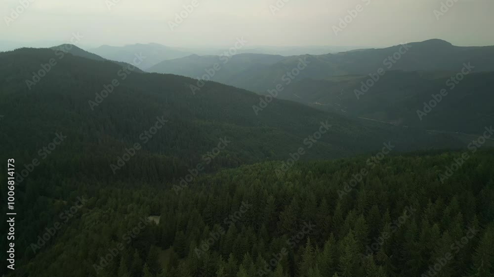 Flying over green forest at cloudy day with the mountains on horizon with glowing clouds. Carpathian mountains, Europe Flying over green forest at cloudy day with the mountains on horizon with glowing clouds. Carpathian mountains, Europe