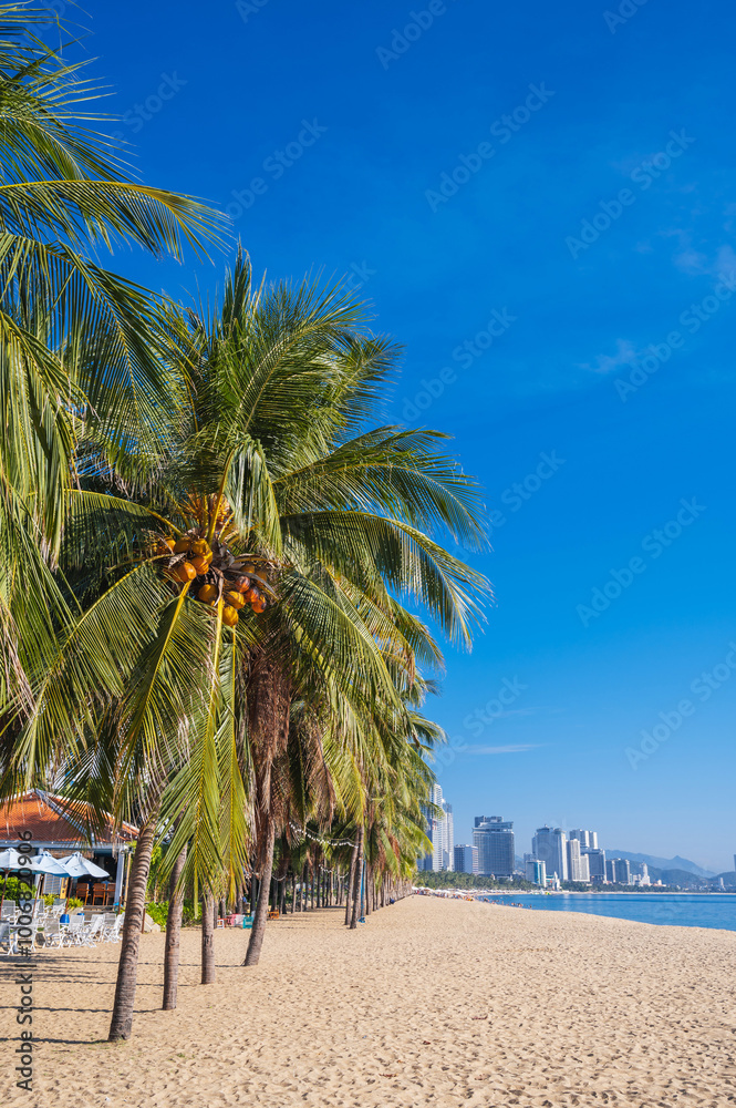 Sandy beach with palm trees by the sea in summer overlooking the resort town of Nha Trang in Asia Sandy beach with palm trees by the sea in summer overlooking the resort town of Nha Trang in Asia