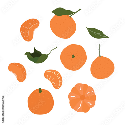 Hand drawn flat illustration of tangerine, mandarins with leaves.